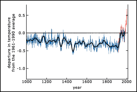 Variations of the Earth's surface temperature